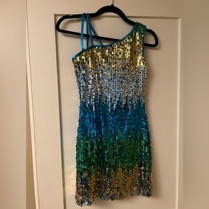 Dance or Skating Costume-  NWOT